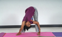 Parivartta Prasarita Padattonasana