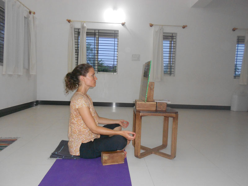 Yoga Teacher BKS Iyengar With Praveen