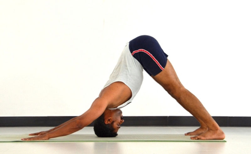 Adho Muka Swanasana