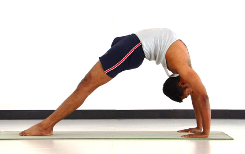 Chakarasana variation