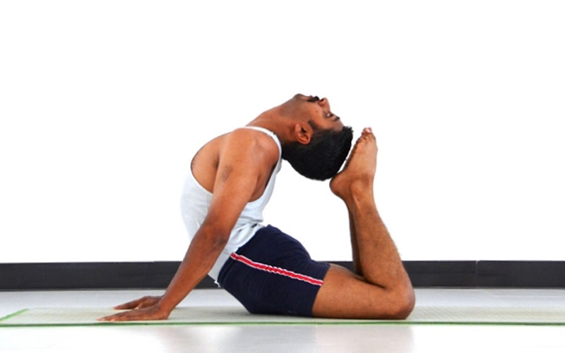 Rajakapotasana